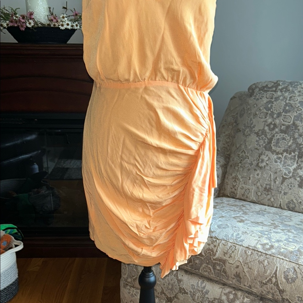 Lovers + Friends Apricot Mini Dress - Picture 3 of 6